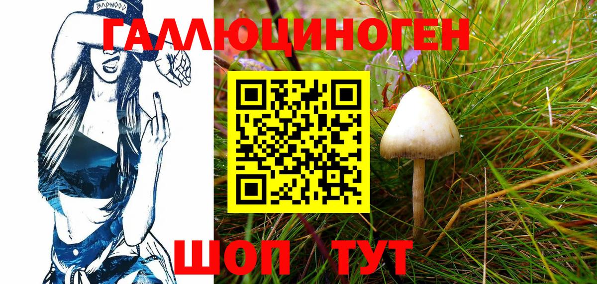 Псилоцибиновые грибы Psilocybe Полысаево
